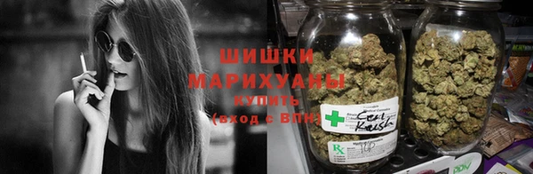 трава Нефтекумск
