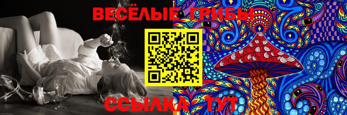 Галлюциногенные грибы Psilocybe Лиски