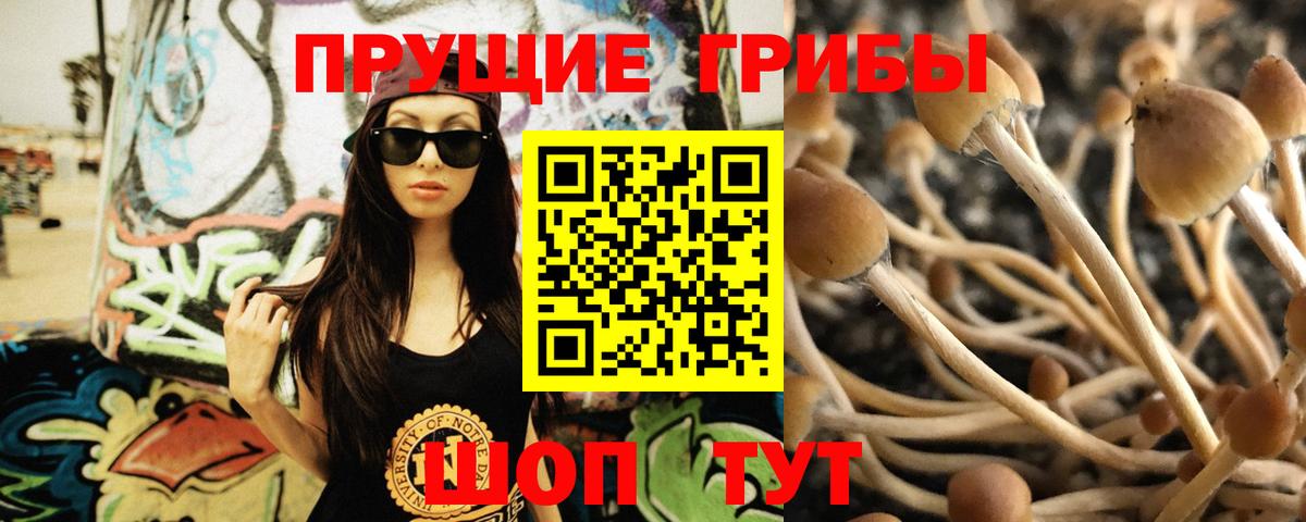 Псилоцибиновые грибы Psilocybine cubensis  Псилоцибиновые грибы мухоморы  Лиски  Вход с VPN 